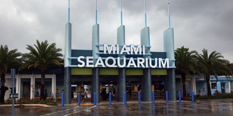 The entrance to Miami Seaquarium is seen, Thursday, March 30, 2023, in Miami. An unlikely coalition of a theme park owner, animal rights group and NFL owner-philanthropist announced Thursday that a plan is in place to return Lolita, an orca that has lived at the Miami Seaquarium for more than 50 years, to her home waters in the Pacific Northwest. (Alie Skowronski/Miami Herald via AP)